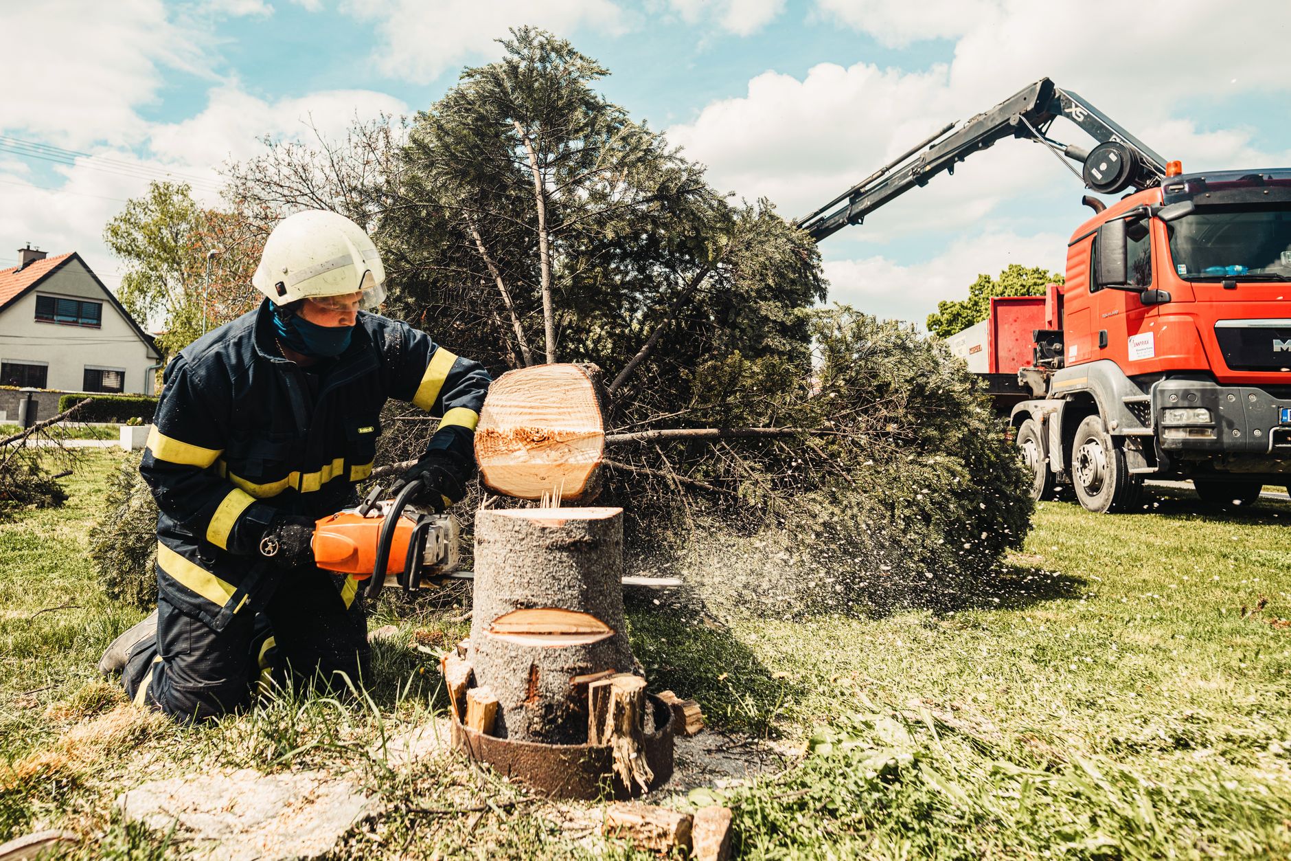Tree Removal – Poteet