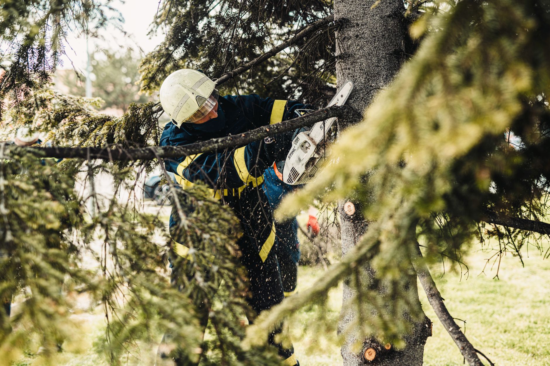 Hedge Work – Poteet